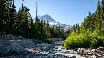Hiking in Mt Hood National Forest, Oregon, creek, volcano, trees, rocks, usa, stones, mountain HD wallpaper