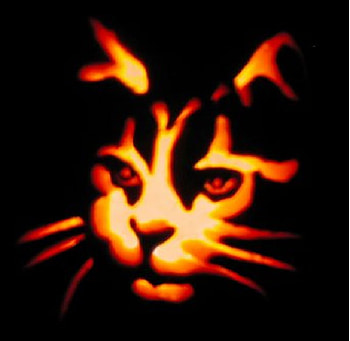 Halloween cat, halloween, h HD wallpaper