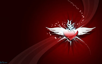 Love, life HD wallpaper