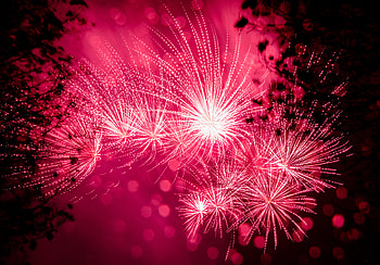 Holidays, Pink, Salute, Sparks, Holiday, Firework, Fireworks HD wallpaper