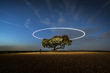 Long Exposure Tree Stars, long-exposure, graphy, stars, sky HD wallpaper
