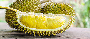 Indonesian tropical fruit, Southeast Asian delicacy, Durian popularity, Local produce HD wallpaper