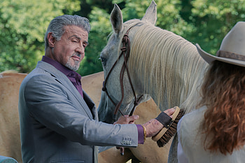 Tulsa King: Sylvester Stallone in Stunning Ultra, TV Show, Tulsa King, Sylvester Stallone HD wallpaper