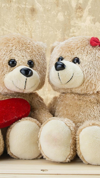 Teddy Bear Ke, Couple, Little Teddy HD phone wallpaper