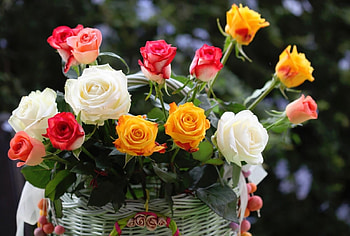 Flowers, Roses, Registration, Typography, Basket HD wallpaper