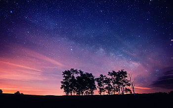 Starry Sky, night, starry, sky, stars, silhouette HD wallpaper