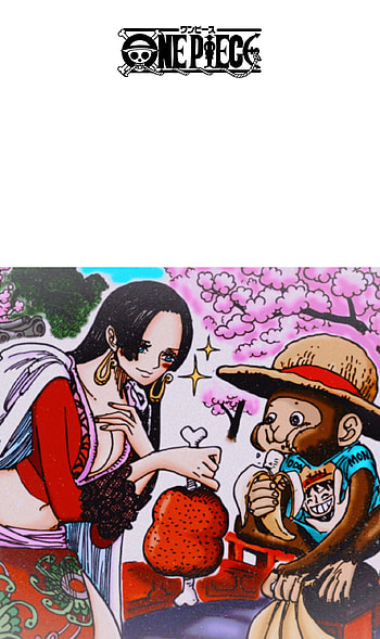Boa Hancock, Anime, Luffy, One Piece, Manga HD phone wallpaper