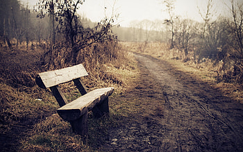 Miscellanea, Miscellaneous, Road, Fog, Bench HD wallpaper