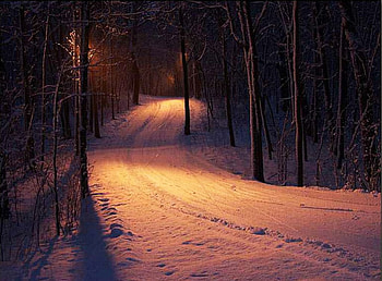 Winter Road, night, lights, snow, trees, forest HD wallpaper