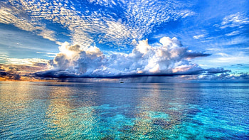 Beach, Mac Beach HD wallpaper