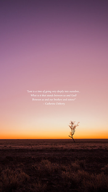Lent Reflection: Lone Tree at Dawn, religious, lent, quote HD phone wallpaper