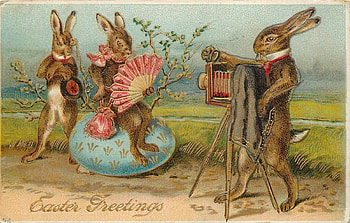 Happy Easter!, couple, funny, , easter, blue, egg, bunny, pink, hand fan, brown, camera, rabbit HD wallpaper