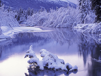 Landscape, Winter, Rivers, Snow HD wallpaper