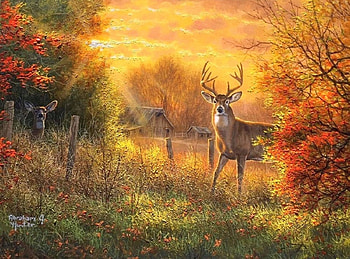 Touch color of Autumn, attractions in dreams, colors, paintings, love four seasons, rural, animals, deer, autumn, nature, fall season HD wallpaper