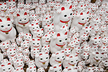 Gotokuji temple, Japanese Lucky Cat HD wallpaper