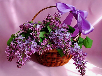 Spring basket, blue, ribbon, beautiful, fresh, nice, fragrance, basket, purple, still life, pretty, freshness, flowers, scent, lovely, lilac HD wallpaper