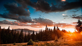 Ukraine full , TV , Beautiful HD wallpaper