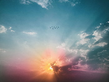 A breathtaking view of a sunset sky with clouds and a flock of birds flying across. HD wallpaper