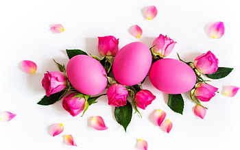 Happy Easter!, rose, egg, pink, petals, flower, card, easter HD wallpaper