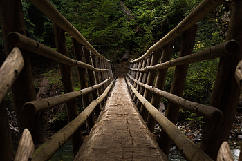 Nature, Trees, Bridge, Descent HD wallpaper