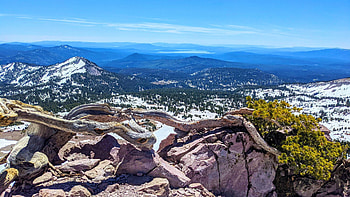 An overachieving pine way above the timberline, Mt Lassen, California, trees, landscape, forest, usa HD wallpaper