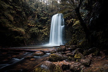 Plants, Nature, Stones, Waterfall, Precipice, Break HD wallpaper