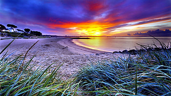 Beach Sunset, clouds, sky, nature, grass, sunset, beach HD wallpaper
