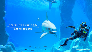 Endless Ocean HD wallpaper