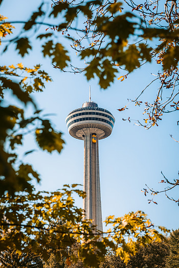 Cities, Trees, Architecture, Building, Branches, Tower HD phone wallpaper