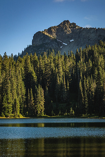 Nature, Rivers, Trees, Rock, Fir, Spruce HD phone wallpaper