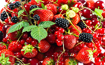 Plants, Fruits, Strawberry, Currant, Blackberry HD wallpaper