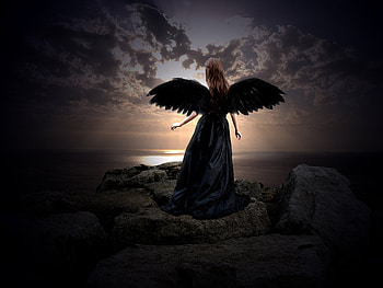 Dark Mystic Fairy, fairy, mystic, wings, dark HD wallpaper