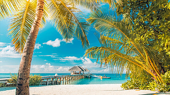 Aruba Island, Island adventures, Unforgettable experiences, Memorable journeys HD wallpaper