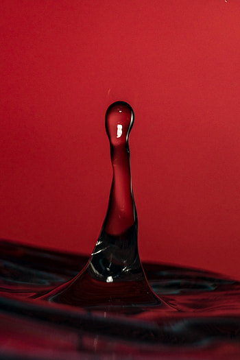 Macro, water splash, drop HD phone wallpaper