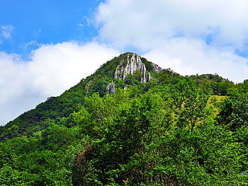 Scenic view of a lush green mountain peak under a bright blue sky with fluffy clouds. HD wallpaper