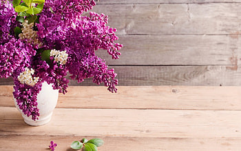Lilacs, Flower Bouquet HD wallpaper
