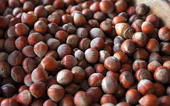 Hazelnuts background, Brown nuts, Nutty texture, High-quality HD wallpaper