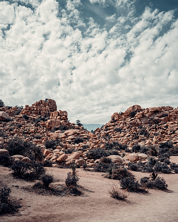 Nature, Stones, Sky, Clouds, Bush, Rocks HD phone wallpaper