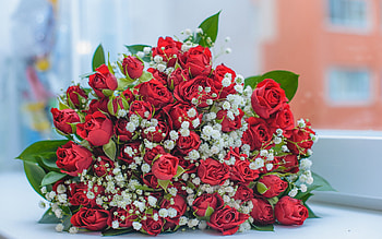 bouquet of red roses, bouquet of flowers, wedding bouquet, red roses, bouquet of roses, bridal bouquet, background with red roses HD wallpaper
