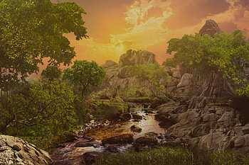 Forest, stream, river, waterfall, nature HD wallpaper