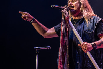 Lynyrd Skynyrd, Street survivors farewell tour HD wallpaper