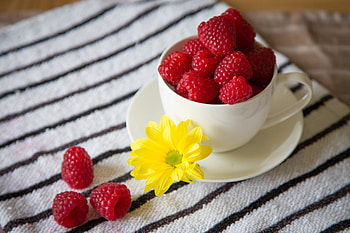 Plants, Food, Raspberry, Berries HD wallpaper