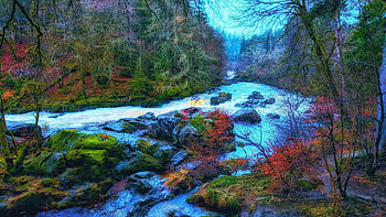Babbling Brook - The Scottish Highlands, landscape, trees, sky, scotland, forest, water, stones HD wallpaper