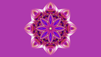 Artistic Flower Art, colors, Abstract, pink, flower HD wallpaper