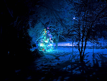 Holidays, New Year, Snow, Forest, Christmas, Christmas Tree, Garland, Garlands HD wallpaper