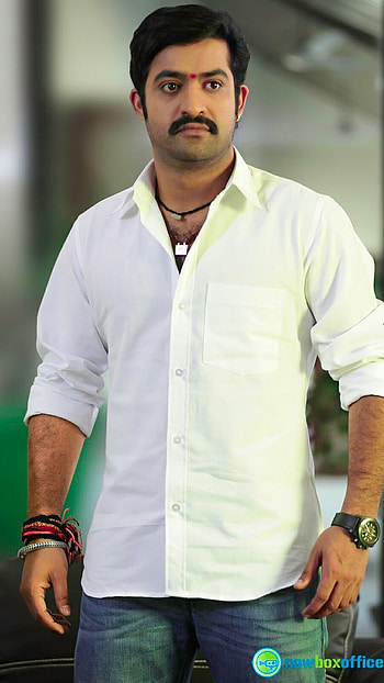 Ntr, South, Hero, Actor HD phone wallpaper