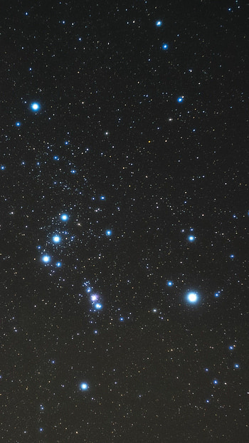 Orion, Constellation HD phone wallpaper