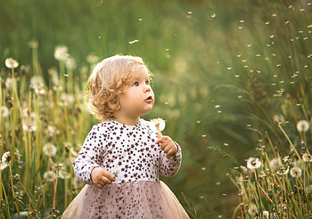 Little Girl, Face, Girl, Child, Look HD wallpaper