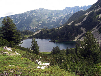 Pirin National Park, Bulgaria, grass, mountain, lake, park, bulgaria, trees, national, nature, sky, water, forest, pirin HD wallpaper