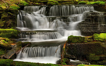 Hidden Beauty, Northern Idaho, river, plants, cascades, rocks, usa HD wallpaper